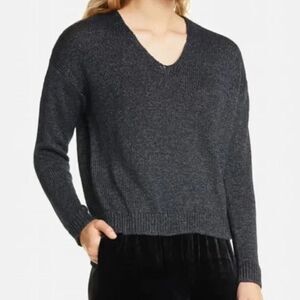 𝅺EILEEN Fisher Sz XS V-Neck Sweater Pullover Shimmer Linen Knit Blue Silver